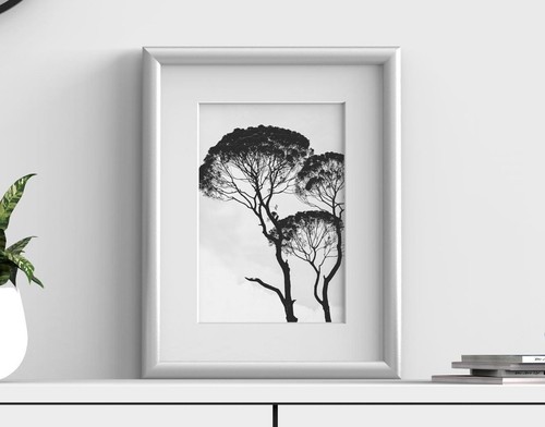 A4 silver picture - a1,