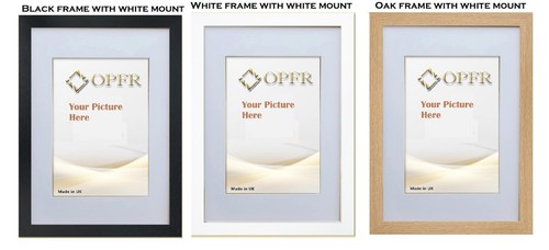 Premium picture frames with - premium,